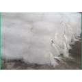 /msite/products/detail/productid/62924637/id/1514659.html